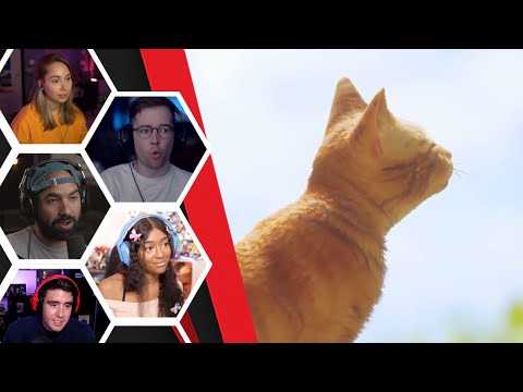 Lets Player's Reaction To Ending And Leaving The City - Stray