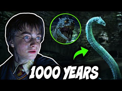 How Did Slytherin's Basilisk SURVIVE in the Chamber of Secrets for 1000 Years? - Harry Potter Theory