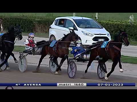 Aversa trotto 7 Gennaio 2023 - 4° Corsa