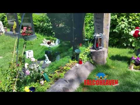 Falco Grab am Pfingstmontag! 05.06.2017