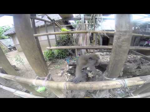 Boracay Island by Alexander Samoylenko