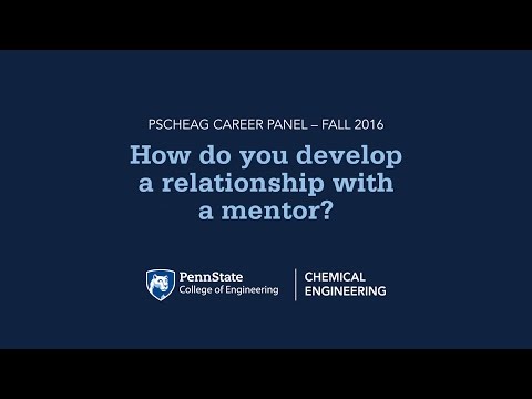Career Panel 3 How Do You Develop a Relationship with a Mentor
