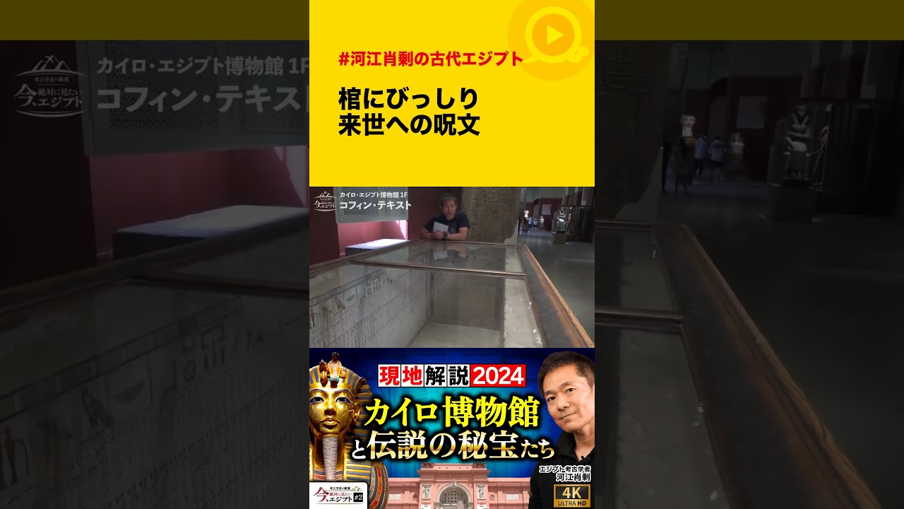"棺にびっしり来世への呪文" #古代エジプト #カイロ博物館 #歴史 #考古学 #shorts