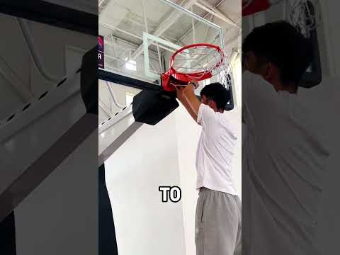 Take Home Basketball Net
