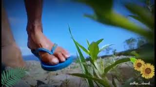 Download lagu tumbuh penuh rasa mp3