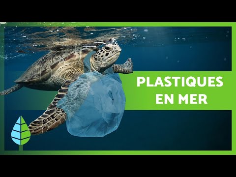 Plastique dans la mer : causes, conséquences et solutions - Avec VIDÉOS