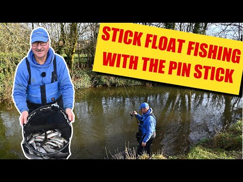 Stick Float Fishing with the Pin Stick on the Cod Beck