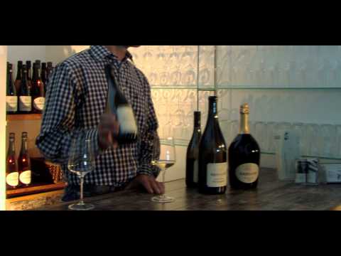 Terroir erleben - Weingut Harkamp, Südsteiermark