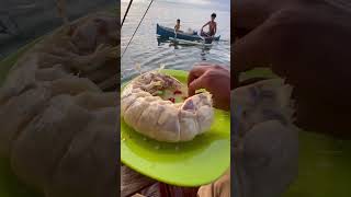 Download lagu Makan udang mantis yang mirip lipan mp3 Download lagu Makan udang mantis yang mirip lipan mp3