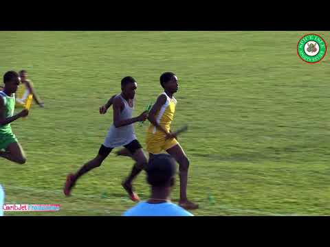 Twilight Relays 2017 - Under 14 Boys 4x200m