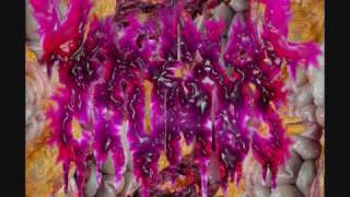 Vaginal Bread Crumbs - Excessive Flatulence