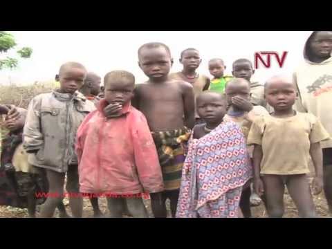 Cost of malnutrition: 1 in 3 children stunted