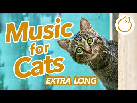EXTRA LONG Music to Calm Your Cat - 20 Hours of Intense Lullaby Melodies