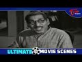 పెళ్లి చూపులు కామెడీ మామూలుగా ఉండదు..| NTR Comedy Scenes | Telugu Movie Comedy Scenes | NavvulaTV - Video