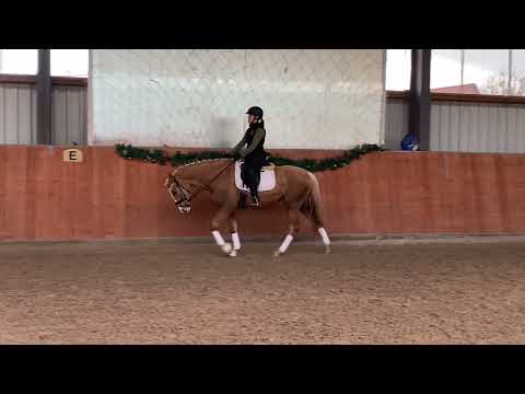 Verkaufspony XXL Pony Püppi