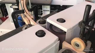 Mộng dương 2 đầu tự động nạp phôi | chuyền chà nhám cạnh phay mộng 2 đầu | Woodmaster