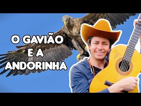 Joel Amaral I O Gavião e a Andorinha 🦅🐦 #covers