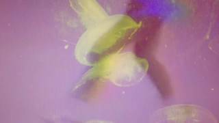 Matteo Vallicelli - "Il Balletto Delle Stelle"