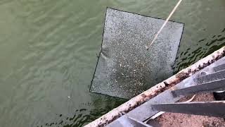 Подъемник паук для рыбалки своими руками