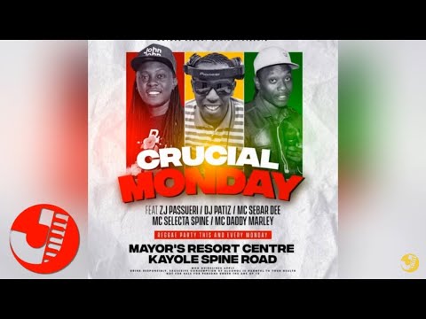DJ PATIZ X MC SEBAR DEE - CRUCIAL REGGAE MIX 2022