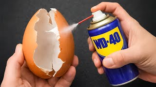 Mix WD40 with Eggshells and make dollars😱! Billions of people don't even know this secret!