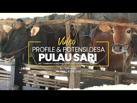 Profile dan Potensi Desa Pulau Sari