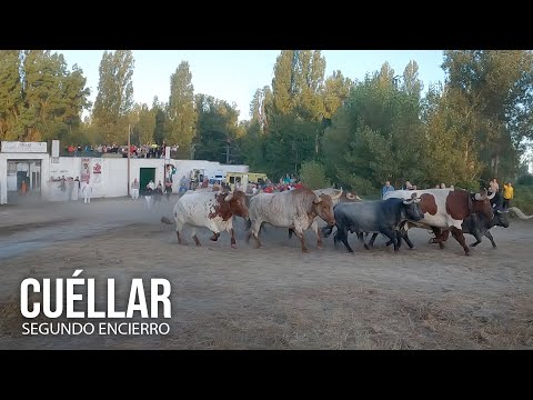 Cuéllar 2024 Segundo Encierro