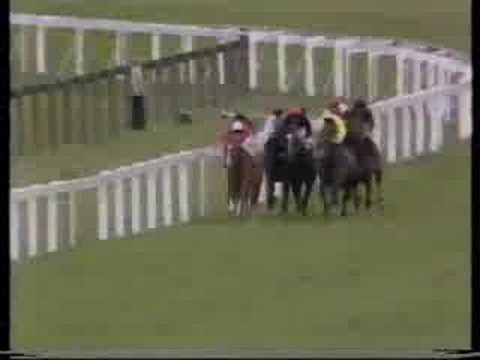 Shergar - 1981 King George