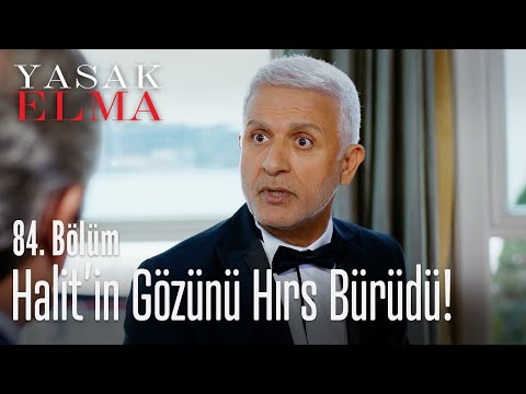 Halit'in gözünü hırs bürüdü! - Yasak Elma 84. Bölüm