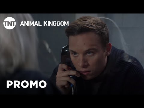 Animal Kingdom: Watch Yourself [PROMO] | Binge Any Time on the TNT App | TNT