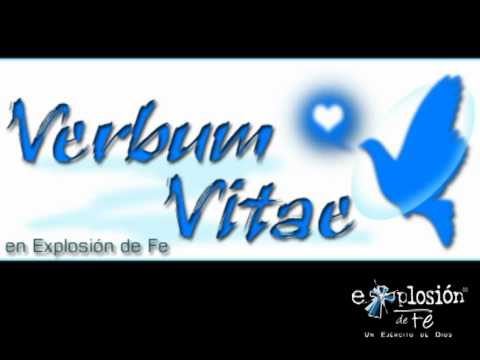 Homilía 12 de Junio