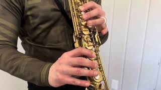 Video thumbnail for Selmer Mark VI Soprano Saxophone Demo, www.dcsax.com by DC Sax