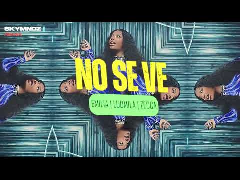 No Se Ve - Emilia, Ludmilla & Zecca | SKYMNDZ Remix