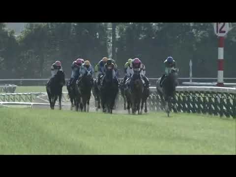 2020.05.24 Yushun Himba (Japanese Oaks) - Daring Tact