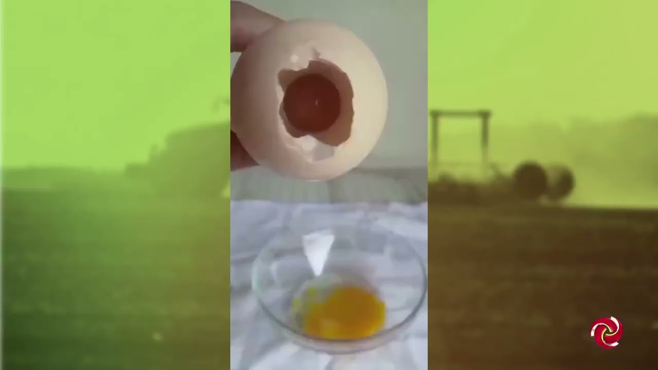 Ovo dentro de ovo chama atenção em Carmo do Rio Claro
