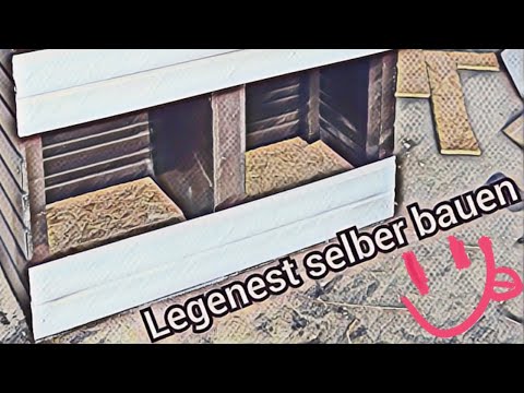 Legenester selber bauen aus Holz für Hühner 🐓 Hühnerstall Folge #14