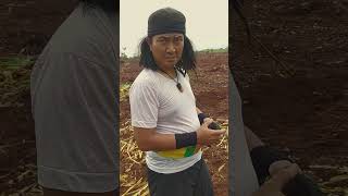 Download lagu SESAMA DARI KULON #shorts #shortvideo #komedi #jampang mp3 Download lagu SESAMA DARI KULON #shorts #shortvideo #komedi #jampang mp3