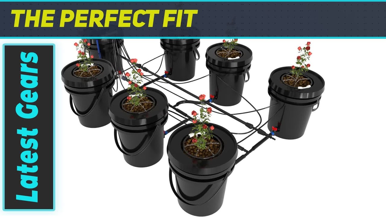 RDWC Top Feed Drip Hydroponics System: Easiest 6 Bucket System?