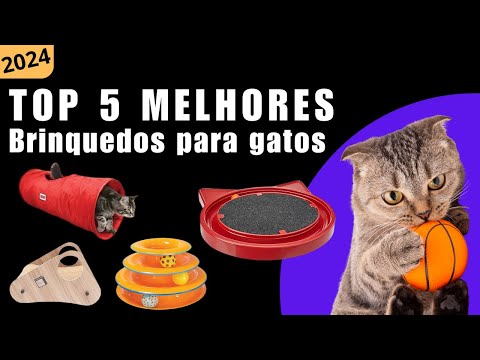 Top 5 melhores brinquedos para gatos 2024