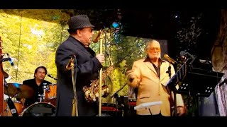 P J PROBY  &amp;  VAN MORRISON - LIVE -  WHATEVER HAPPENED TO P J PROBY - BBC