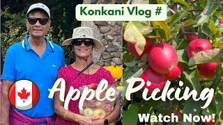 APPLE FARM IN CANADA -Apple Picking with Family & Friends. #applepicking #konkanivlogs #konkani #fun