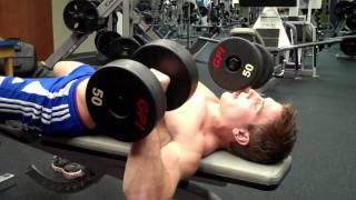 DB Bench Press