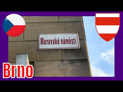 Moravské náměstí Pouliční prohlídka Brno Video 3 9 2024, 5 08 29 PM