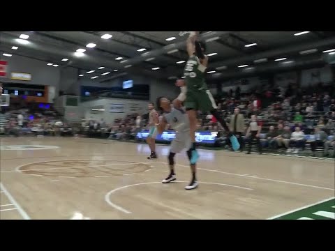 Christian Wood NBA G League Highlights: February 2019