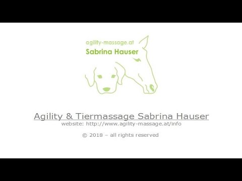 Agility Courses by Sabrina Hauser - 26.06.2022 / Agility 3