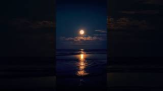 Download lagu Bulan Purnama dengan Suasana Ombak dan Pantai #shorts mp3 Download lagu Bulan Purnama dengan Suasana Ombak dan Pantai #shorts mp3
