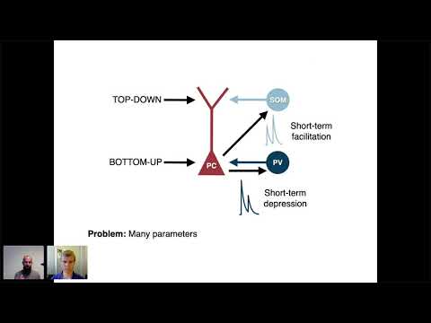 05 Henning Sprekeler - Optimising spiking interneuron circuits for compartment-specific feedback inh