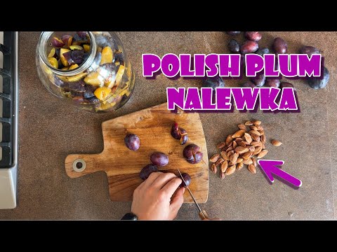 Polish Plum Nalewka - Śliwkówka