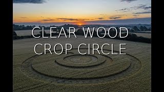 Житни кръгове, Clear Wood, Nr Cley Hill, Warminster, Wiltshire – 28/07/2019