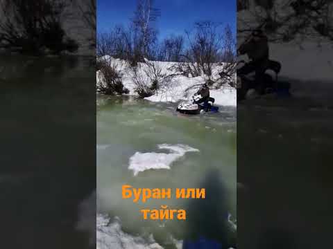 снегоход тайга или буран